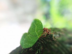 IMG-20160321-WA0019