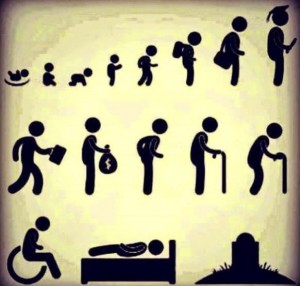 el-ciclo-de-la-vida-carteles-vida-desmotivaciones