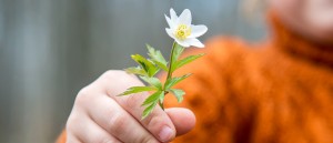 dar-e-melhor-que-receber