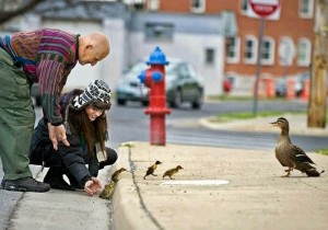 gentileza-gera-gentileza1